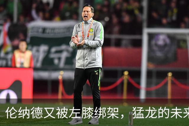 伦纳德又被左膝绑架，猛龙的未来全靠双膝保重！
