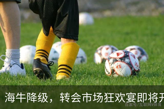 海牛降级，转会市场狂欢宴即将开启！