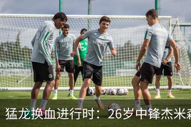 猛龙换血进行时：26岁中锋杰米森将被送走