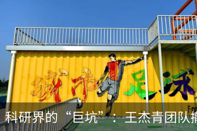 科研界的“巨坑”：王杰青团队撤稿风波引发的思考