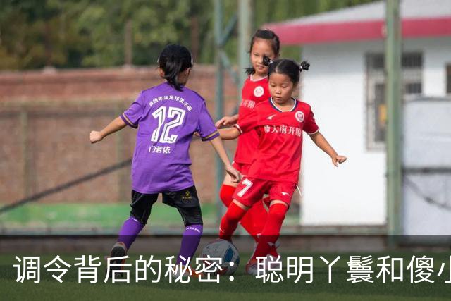 调令背后的秘密：聪明丫鬟和傻小子的较量